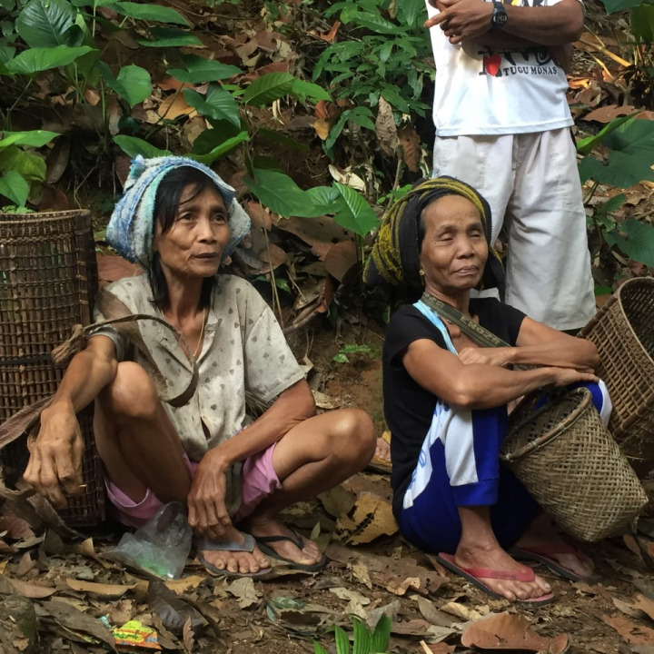 Fat Forest cadeaubon