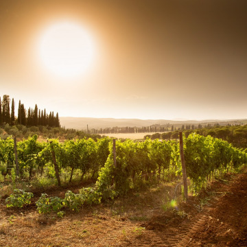 Time to Wine cadeaubon